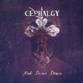 Buy Cephalgy - Finde Deinen Dämon Mp3 Download