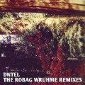 Buy DNTEL - The Robag Wruhme Remixes Mp3 Download