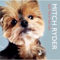 Buy Mitch Ryder - Stick This In Your Ear Mp3 Download