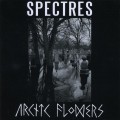 Buy Arctic Flowers - Arctic Flowers/Spectres (Split) Mp3 Download