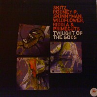 Purchase Skitz - Twilight Of The Gods (MCD) (Vinyl)