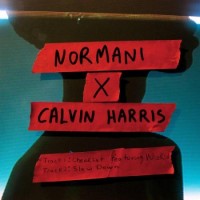 Purchase Normani & Calvin Harris - Slow Down (CDS)