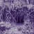 Buy Ildjarn - Forest Poetry 2 Mp3 Download