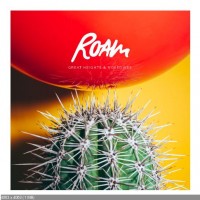 Purchase Roam - Great Heights & Nosedives