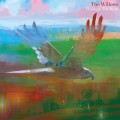 Buy The Willows - Through The Wild Mp3 Download