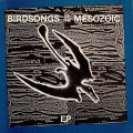 Buy Birdsongs Of The Mesozoic - Birdsongs Of The Mesozoic (EP) (Vinyl) Mp3 Download