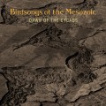 Buy Birdsongs Of The Mesozoic - Dawn Of The Cycads CD1 Mp3 Download