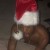Buy XXXTentacion - A Ghetto Christmas Carol (EP) Mp3 Download
