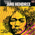 Buy Jeff Cooper & The Stoned Wings - Tribute To Jimi Hendrix (Vinyl) Mp3 Download