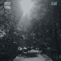 Purchase Expert Timing - Glare