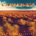 Buy Magic City Hippies - Gunslingers (CDS) Mp3 Download