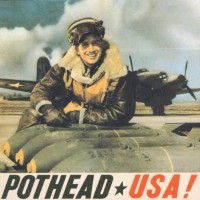 Purchase Pothead - USA!