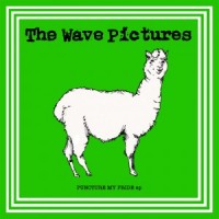 Purchase The Wave Pictures - Puncture My Pride