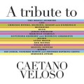 Buy VA - A Tribute To Caetano Veloso Mp3 Download