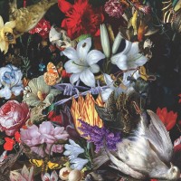 Purchase The Nightingales - Perish The Thought