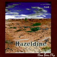 Purchase Hazeldine - How Bees Fly