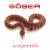 Buy Sober - Arrepentido (Versión Sinfónica) (CDS) Mp3 Download