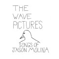 Buy The Wave Pictures - The Songs Of Jason Molina Mp3 Download