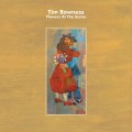 Buy Tim Bowness - Flowers at the Scene Mp3 Download