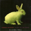Buy Cosmic Psychos - Slave To The Crave Mp3 Download