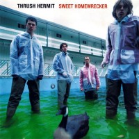 Purchase Thrush Hermit - Sweet Homewrecker