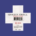 Buy The Grassy Knoll - Positive Mp3 Download