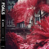 Purchase Foals - Exits (CDS)