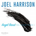 Buy Joel Harrison - Angel Band: Free Country Volume 3 Mp3 Download