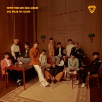 Purchase Seventeen - You Made My Dawn