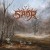 Buy Saor - Forgotten Paths Mp3 Download