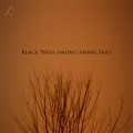 Buy Altus - Black Trees Among Amber Skies Mp3 Download