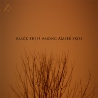 Purchase Altus - Black Trees Among Amber Skies