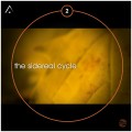Buy Altus - The Sidereal Cycle 2 Mp3 Download