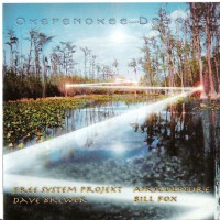 Purchase Ricochet Gathering - Okefenokee Dreams 2001