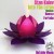 Buy Stan Kolev - Into The Lotus (CDS) Mp3 Download