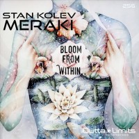 Purchase Stan Kolev - Meraki (CDS)