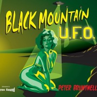 Purchase Peter Bruntnell - Black Mountain U.F.O.