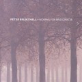 Buy Peter Bruntnell - Normal For Bridgwater Mp3 Download