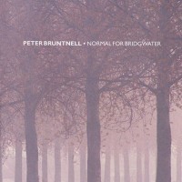 Purchase Peter Bruntnell - Normal For Bridgwater