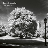 Purchase Larry Grenadier - The Gleaners