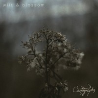 Purchase Cartographs - Wilt & Blossom