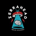 Buy Zebrahead - Brain Invaders (Japanese Edition) Mp3 Download