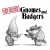 Buy Karl Denson's Tiny Universe - Gnomes & Badgers Mp3 Download