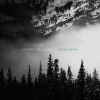 Purchase After The Burial - Evergreen