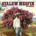 Buy Ayalew Mesfin - Hasabe - My Worries Mp3 Download