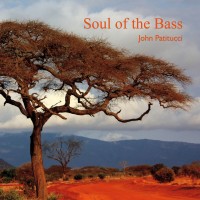 Purchase John Patitucci - Soul of the Bass