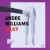 Buy Andre Williams - Silky Mp3 Download