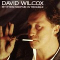 Buy David Wilcox - My Eyes Keep Me In Trouble (Vinyl) Mp3 Download