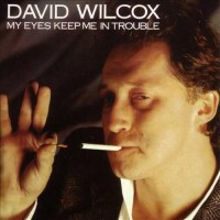 Purchase David Wilcox - My Eyes Keep Me In Trouble (Vinyl)