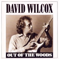 Purchase David Wilcox - Out Of The Woods (Vinyl)